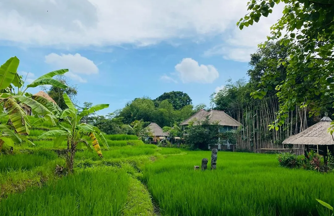 Kts Balinese Villas-1