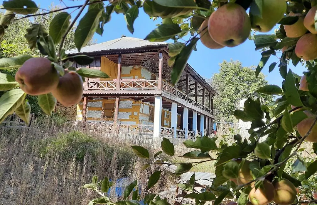 Mountain Village Stay - Dharali Heights Harsil-1