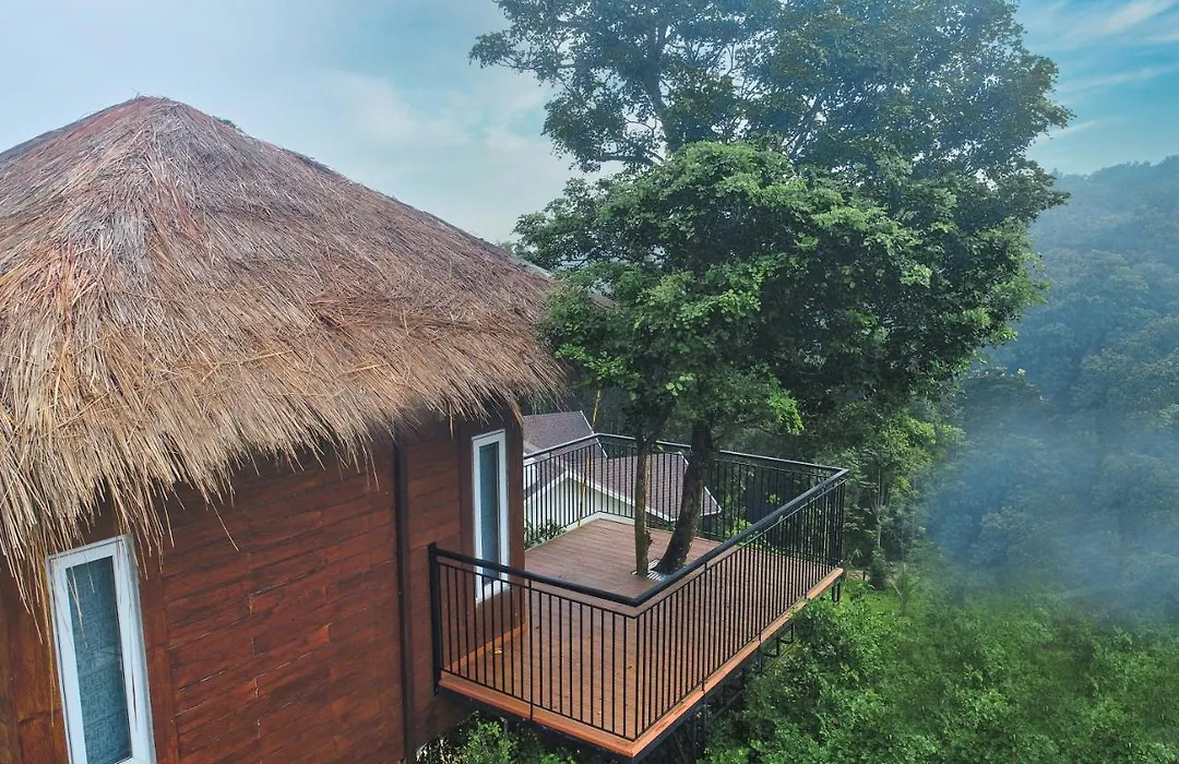 Jungle Bay Resorts & Spa-1
