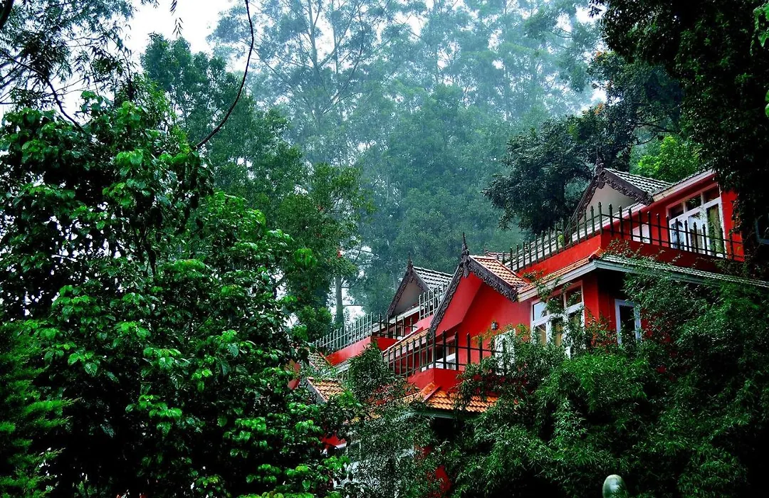 Tea Valley Resort, Munnar-1