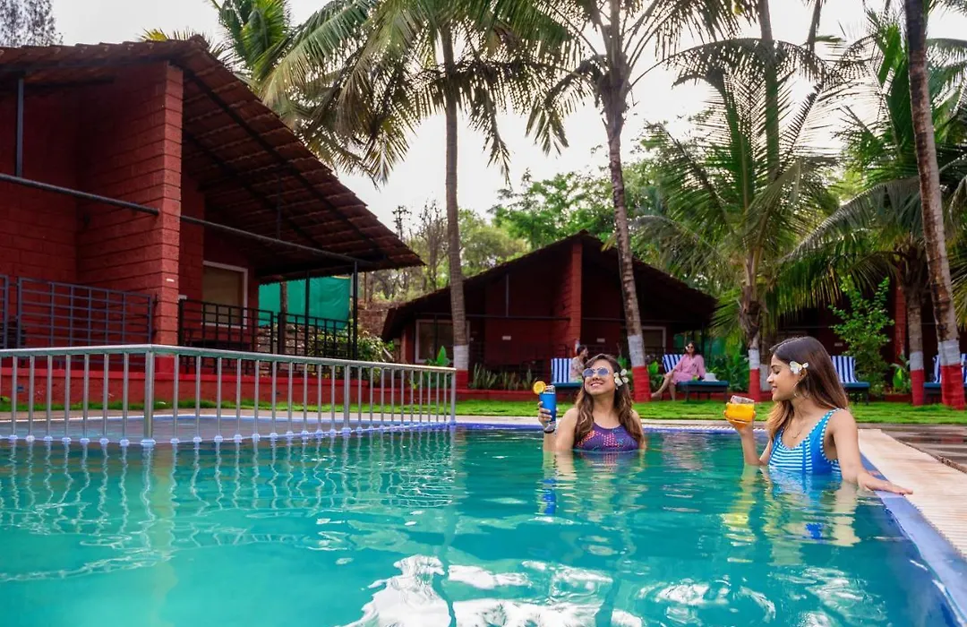 Lotus An Eco Beach Resort Dapoli Murud-1