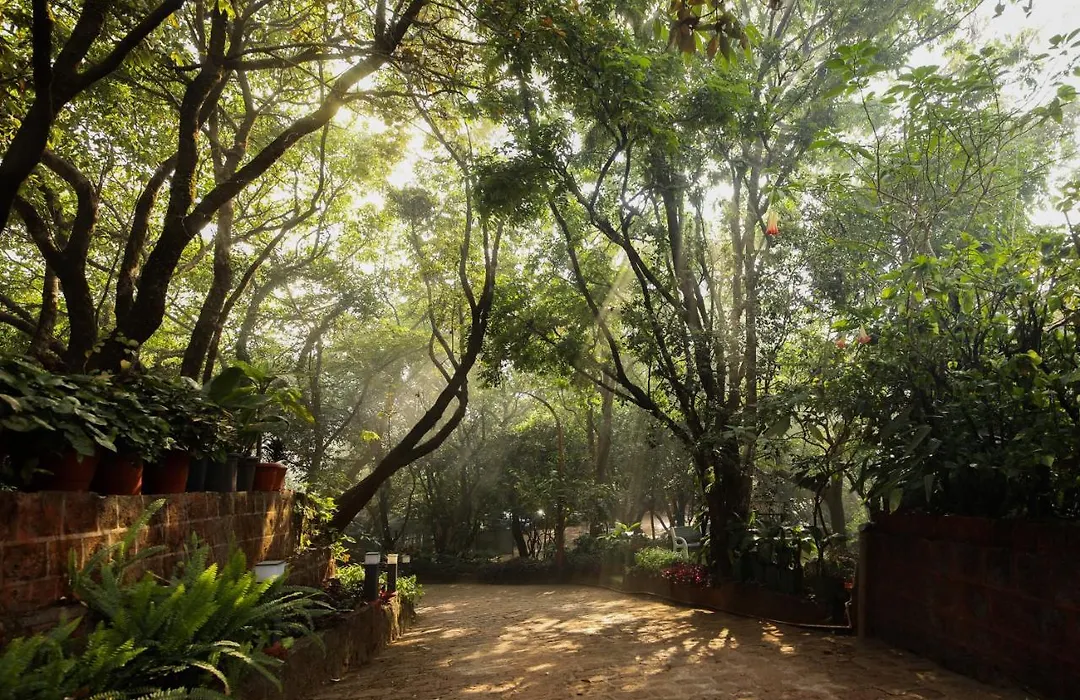 Bella Vista Mahabaleshwar-1