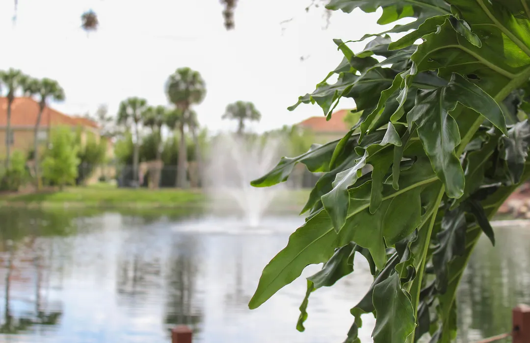 Hilton Vacation Club Polynesian Isles Kissimmee-1
