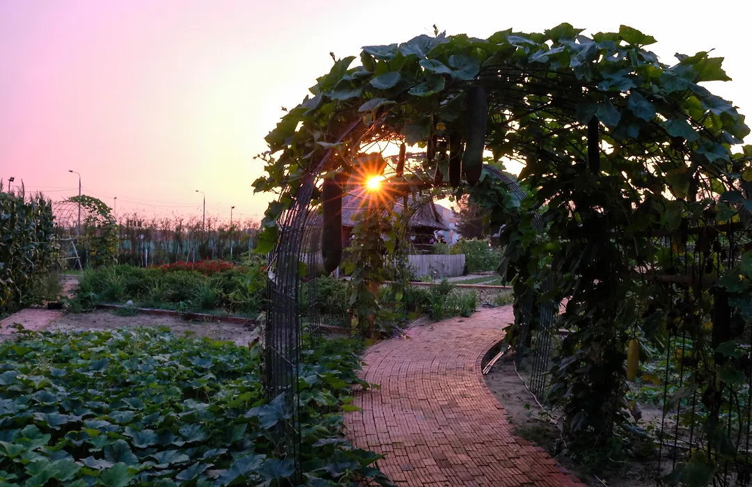 Silk Sense Hoi An River Resort - Green Luxury Escape-1