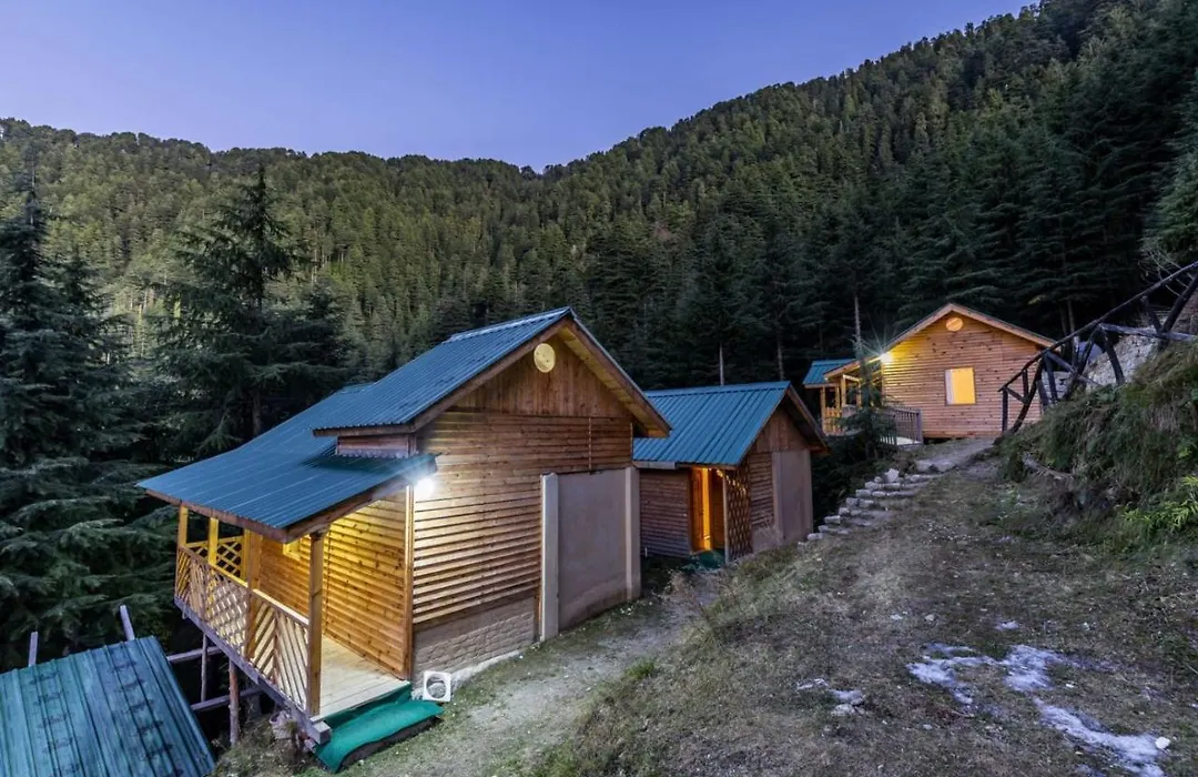 Mid Conifer Cottage-1