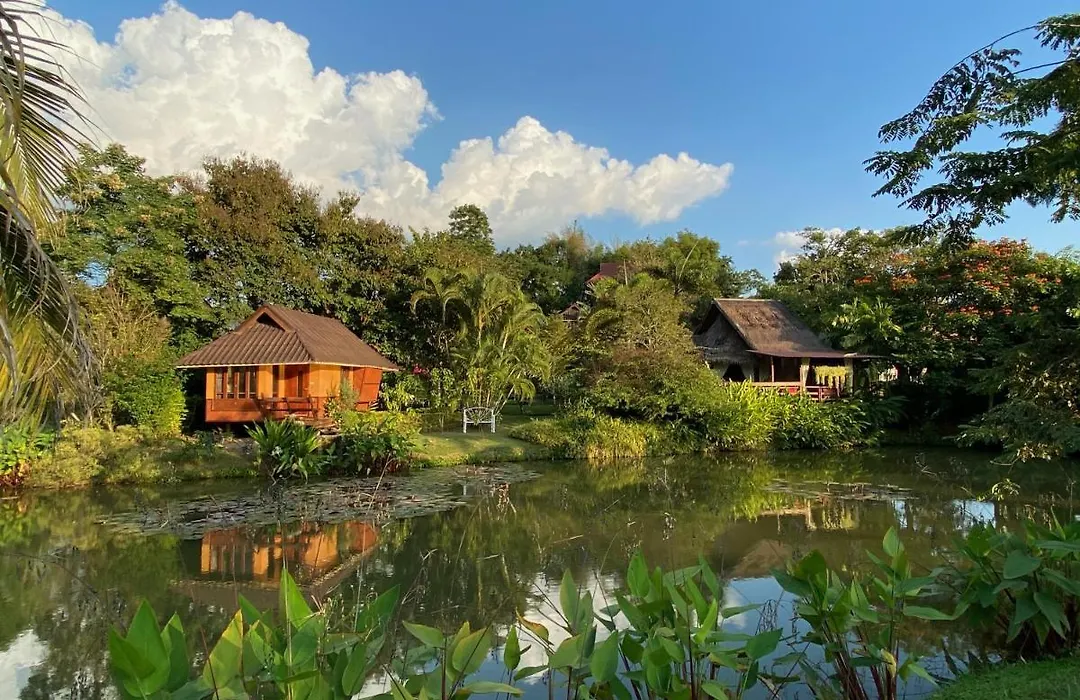 Pura Vida Pai Resort-1
