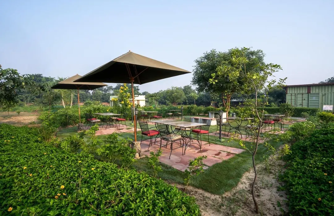 Tree Of Life Ecotainers Agra-1