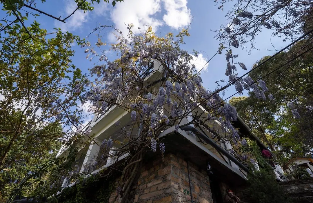 Avenida Snowcap Retreat-1