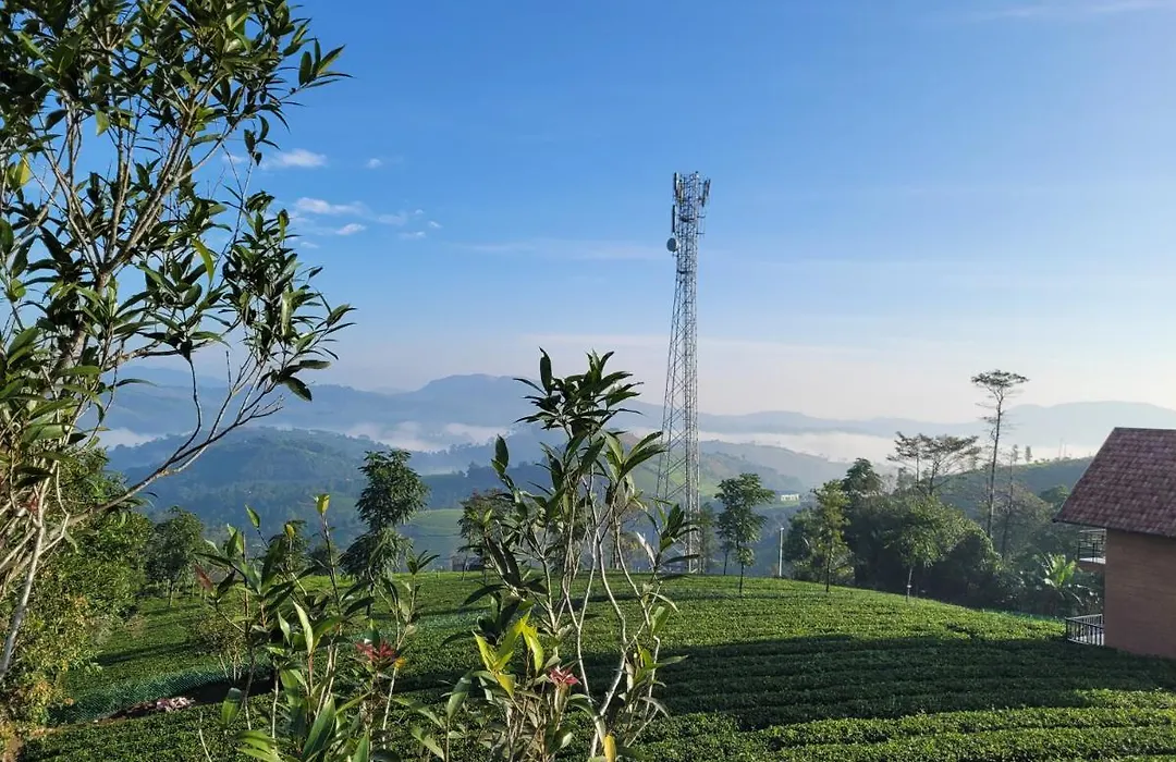 Cloud Canopy - Tea Garden Family Pool Cottage In Vagamon-1