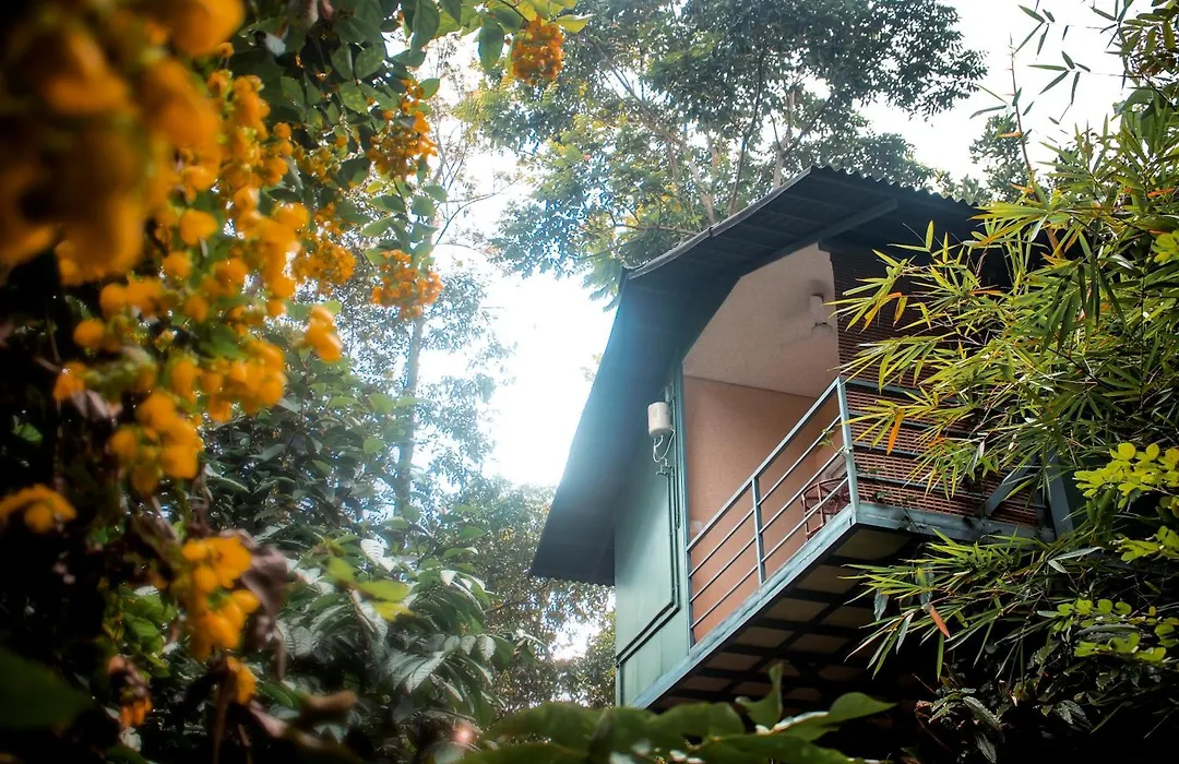 Edens Munnar-1