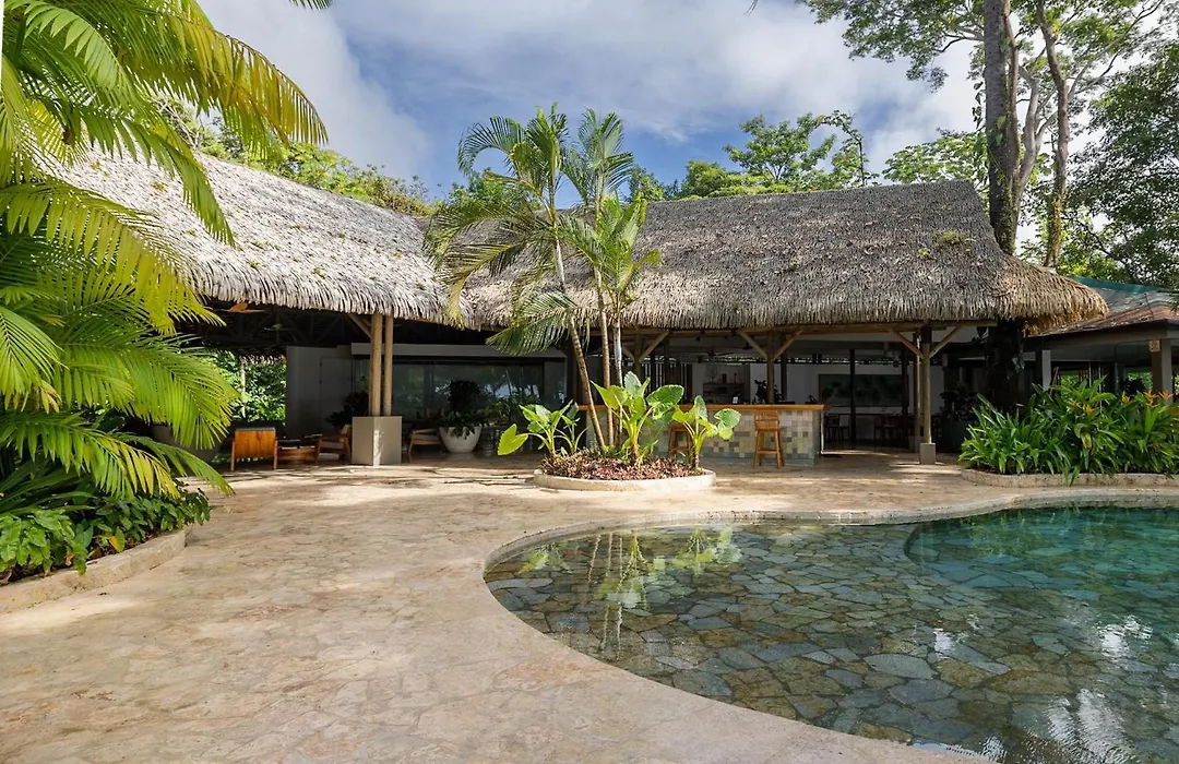 Arenas Del Mar Beachfront & Rainforest Resort Member Of The Cayuga Collection-1