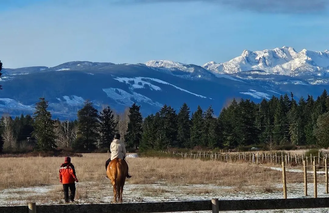 Paradise Acres Ranch-1