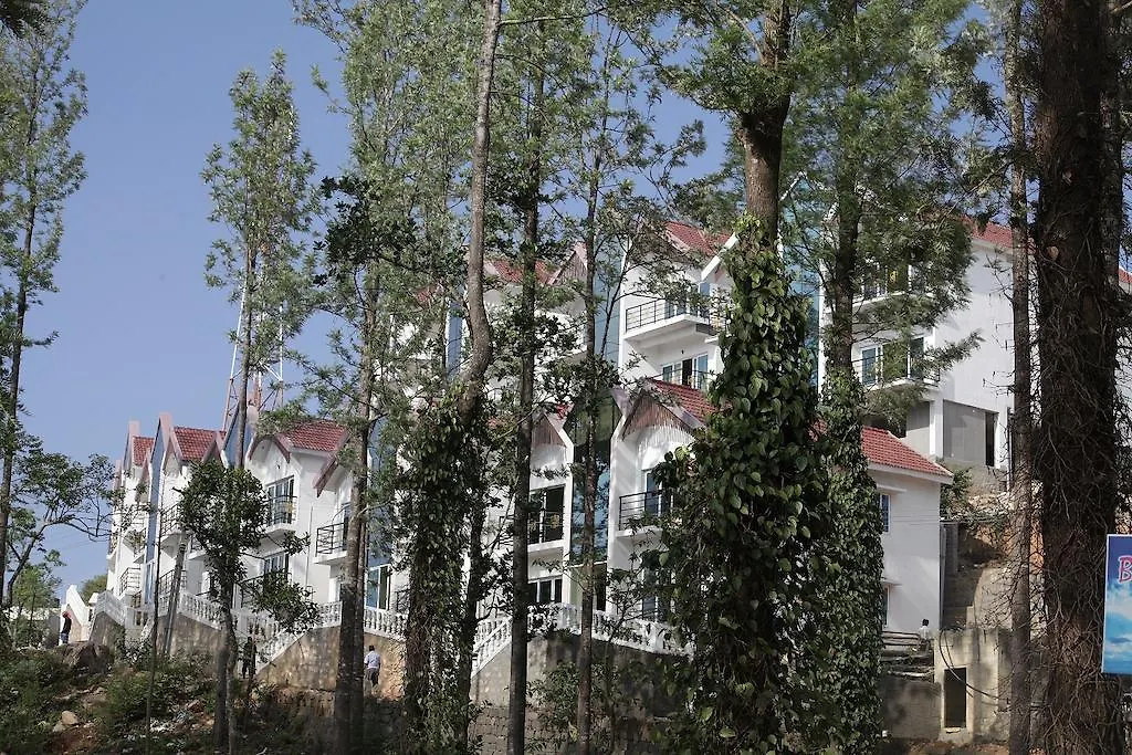 Golden Nest-1