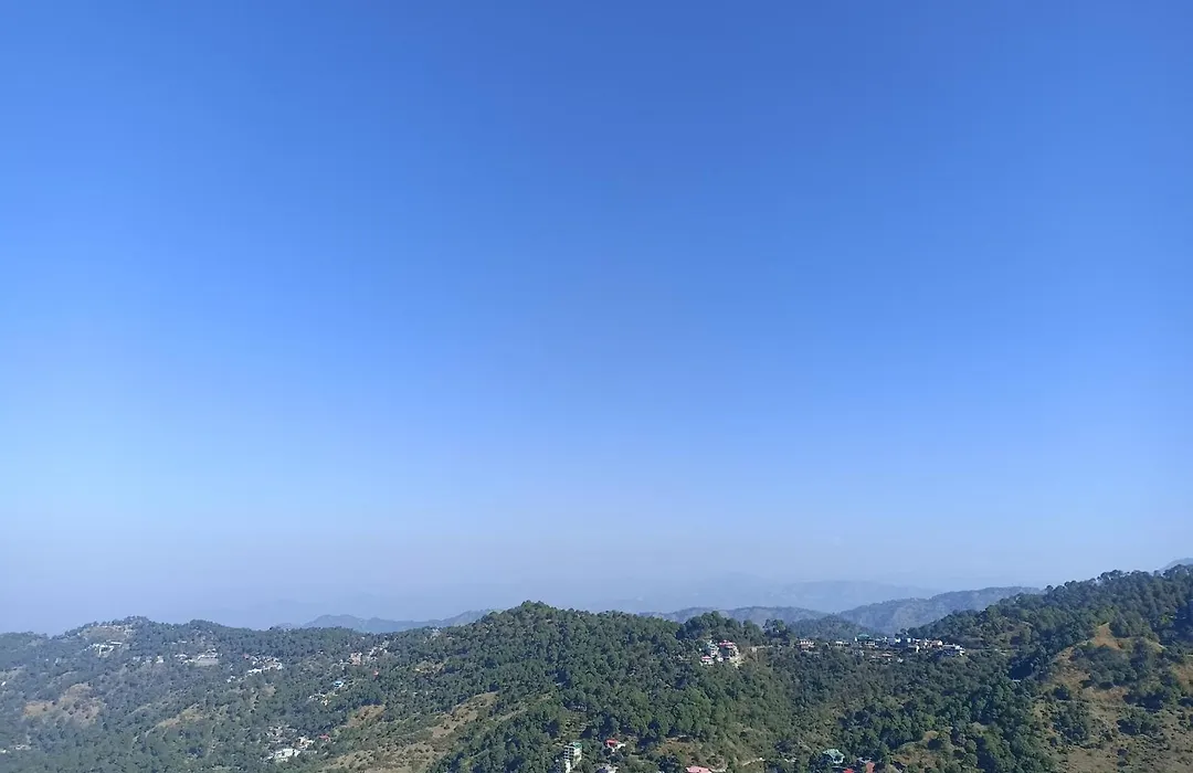 Kasauli Resort By Piccadily-1