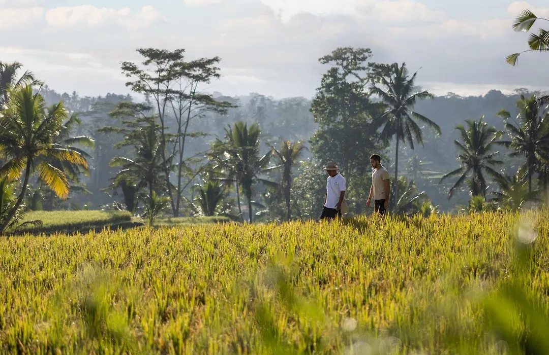 Wapa Di Ume Ubud-1