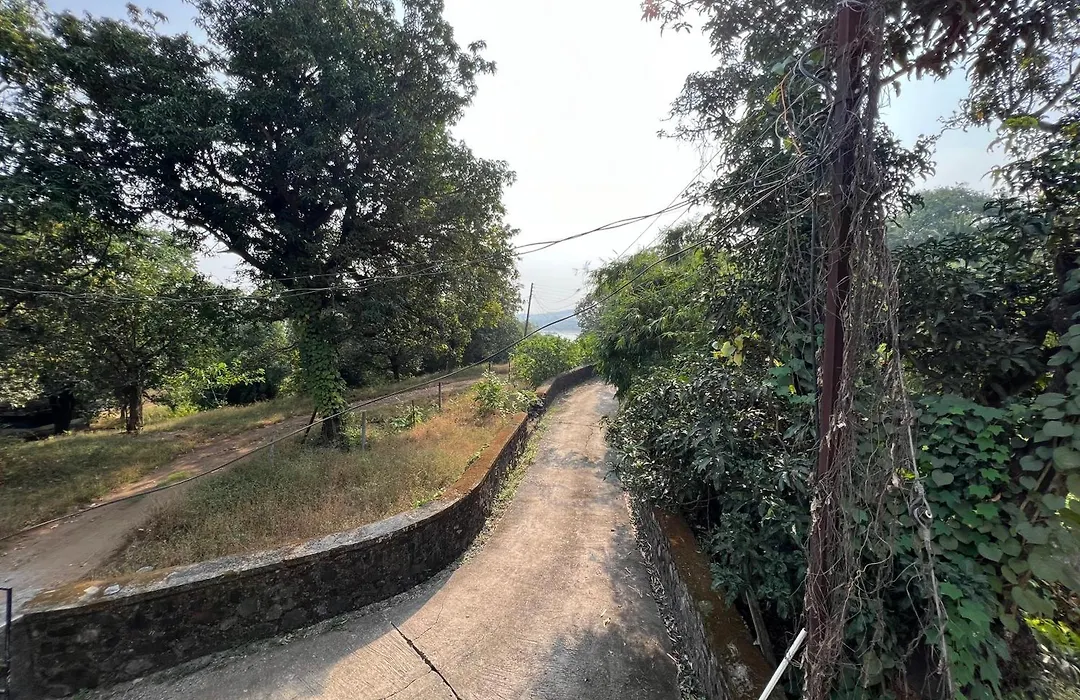 Iira Stays-Sea Coast Farm-1