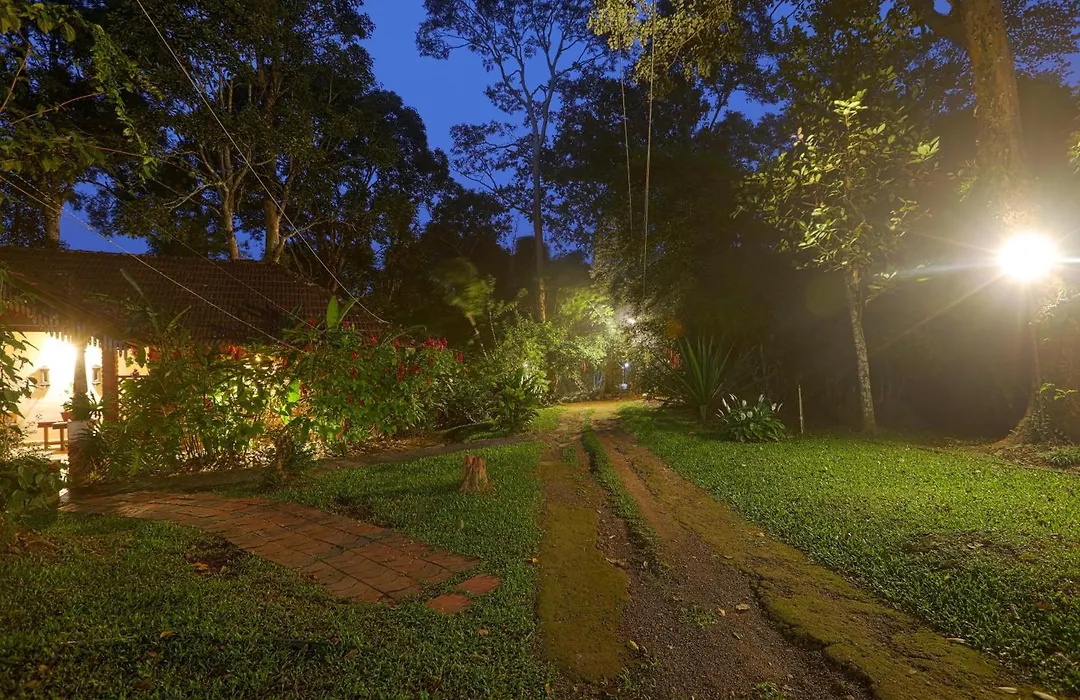 Bovera Orchards Coorg By Luxdens Hotels-1