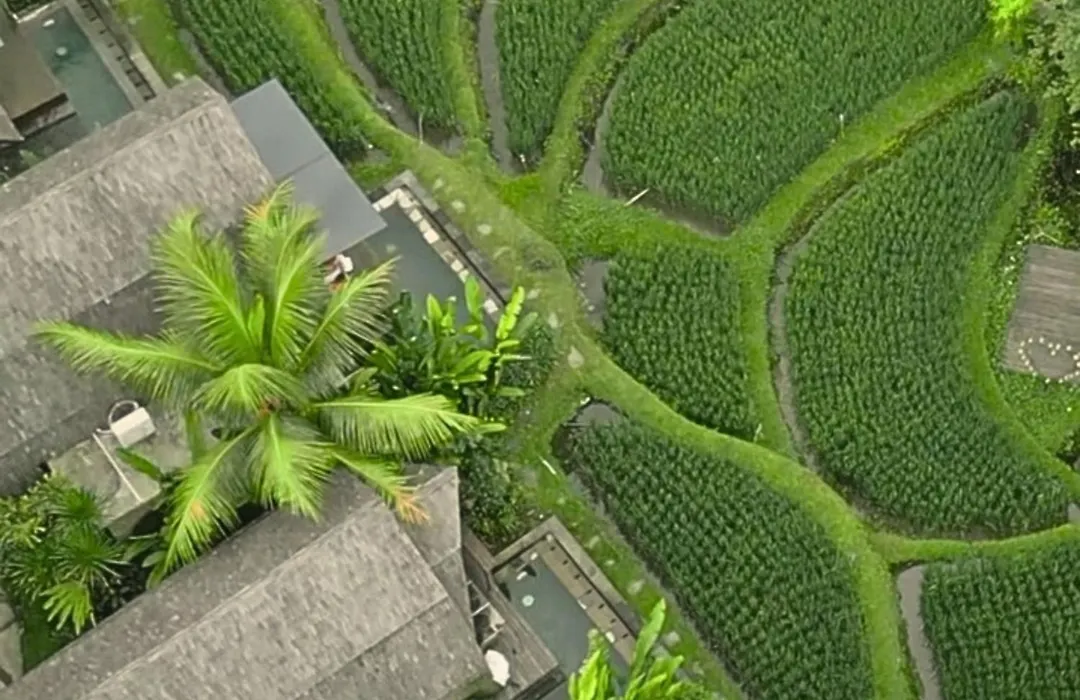 Menzel Villa Ubud-1