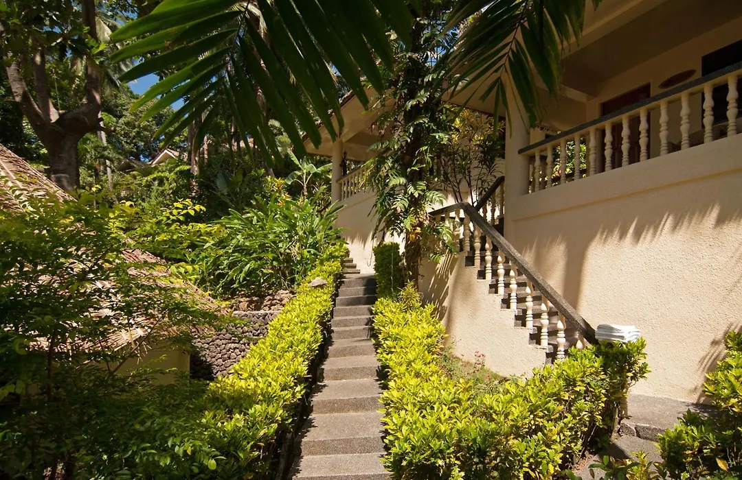 Easy Diving And Beach Resort-1