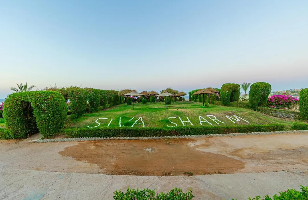 Siva Sharm Resort & Spa-1