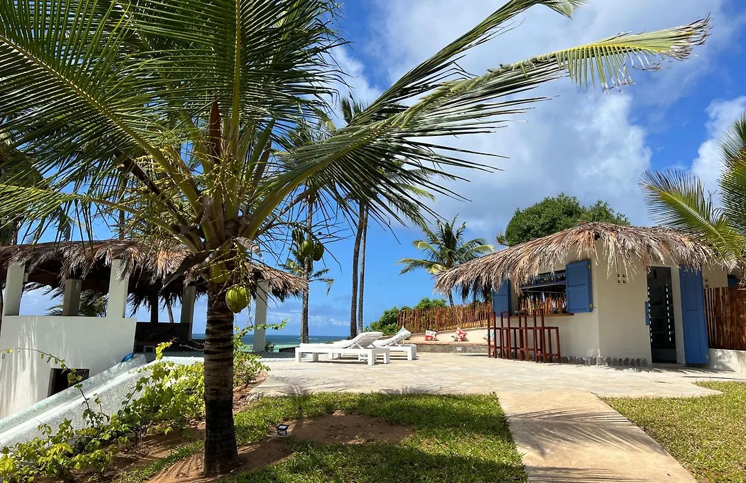 Gecko Resort-1
