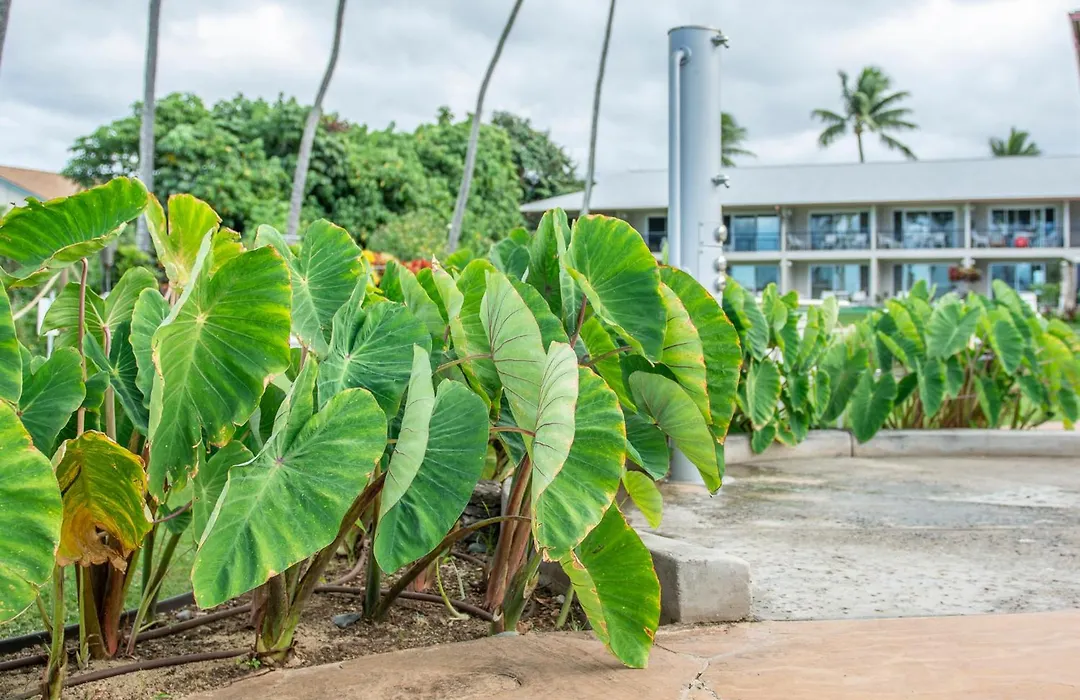 Napili Surf Beach Resort By Castle-1