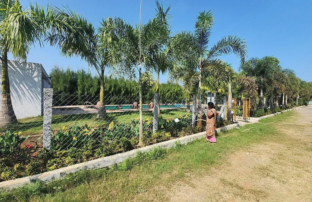 Paradise Forest Resort-1