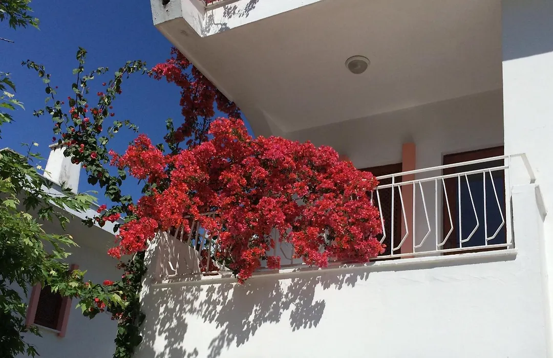 Flower Villa Apart-1