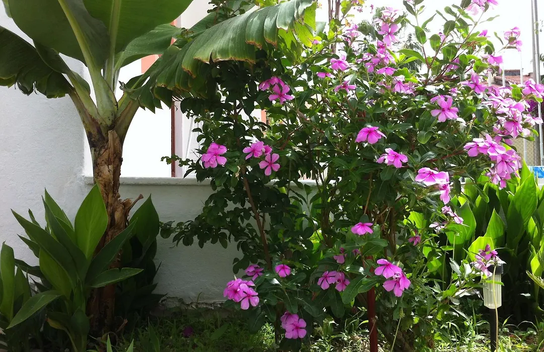 Flower Villa Apart-1