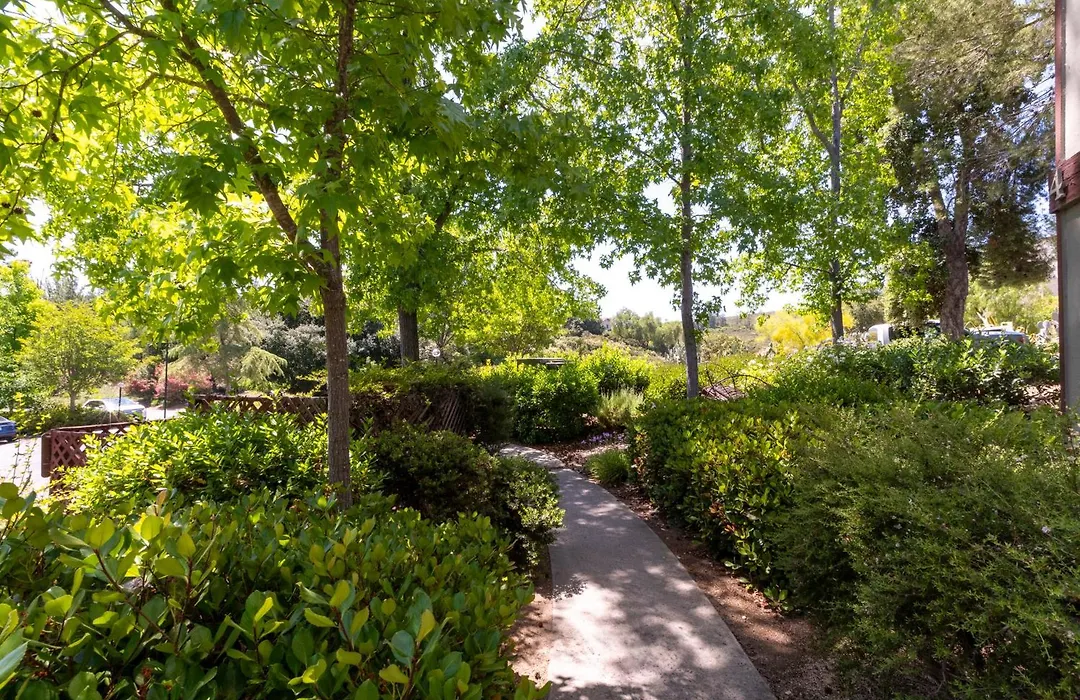 San Diego Country Estates-1