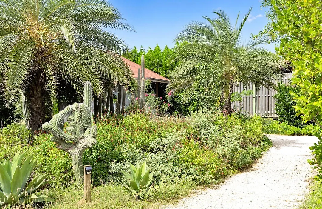 Red Palm Village-1