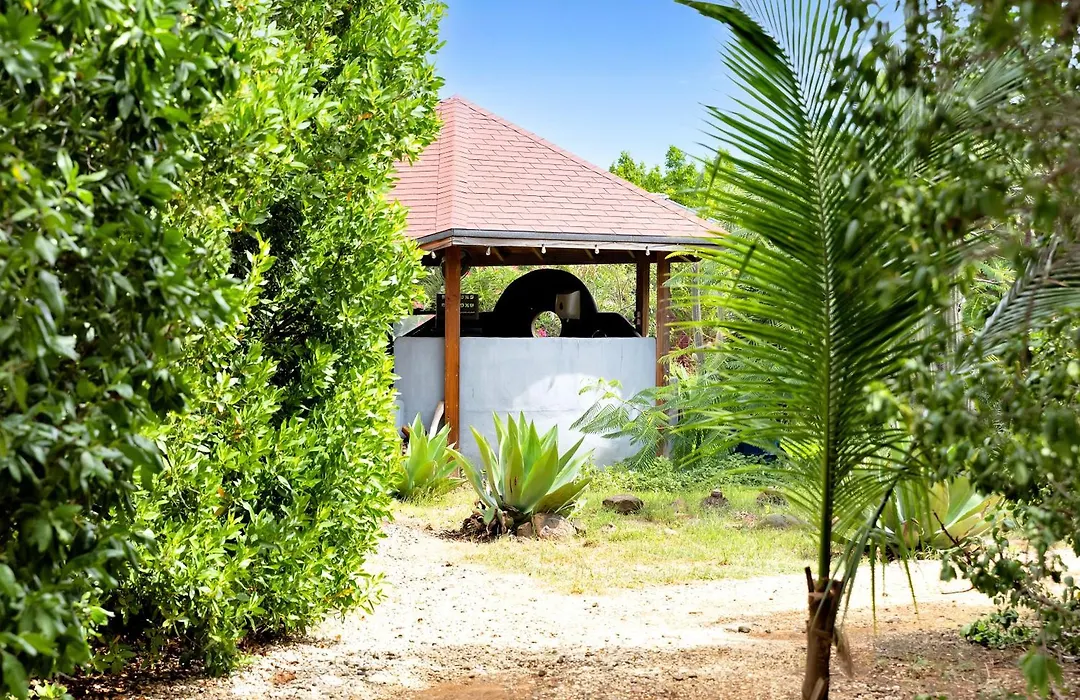 Red Palm Village-1