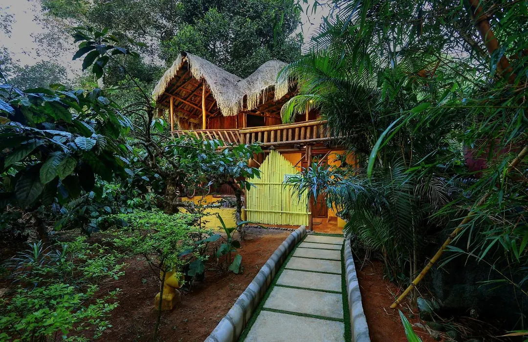 Evergreen County Retreat-India'S First Adventure Veg Retreat-1