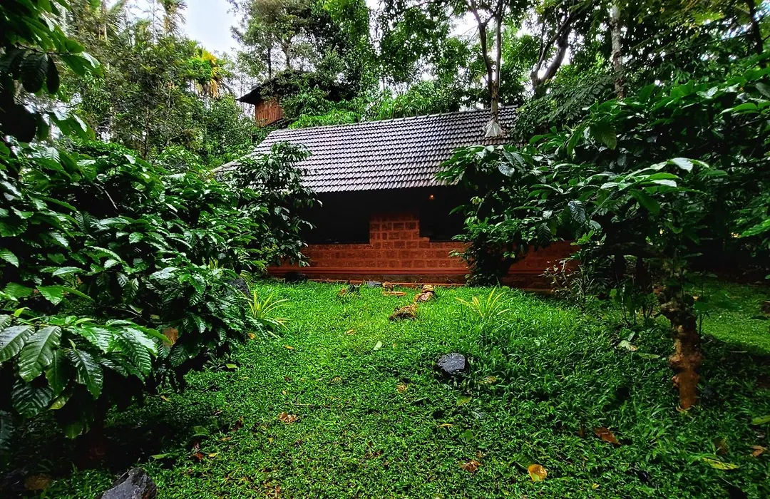 Greens Tree House & Wood House-1
