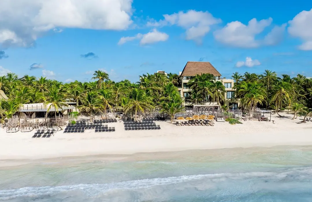 Secrets Tulum Resort & Beach Club (Adults Only)-1