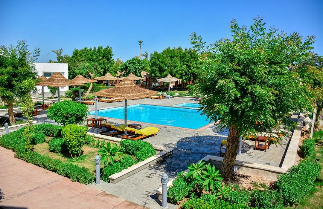 Desert View Sharm Hotel-1