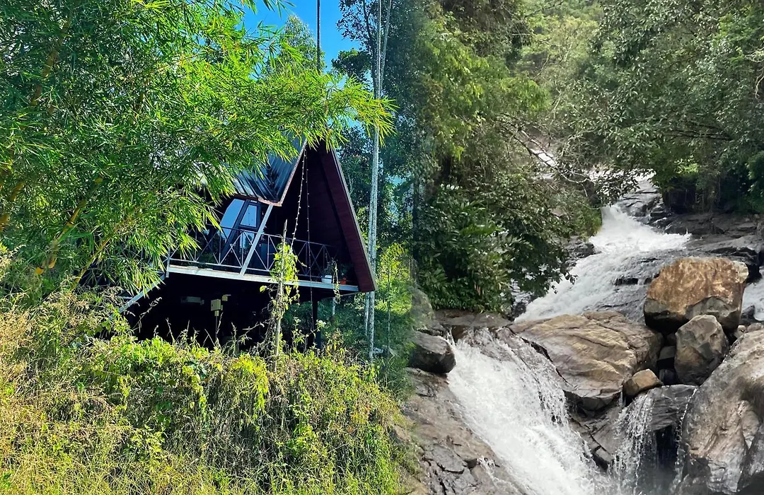 Wetlands Wayanad Pool Resort With Natural Waterfalls-1