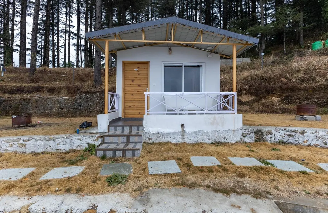 The Deodar Stays-1