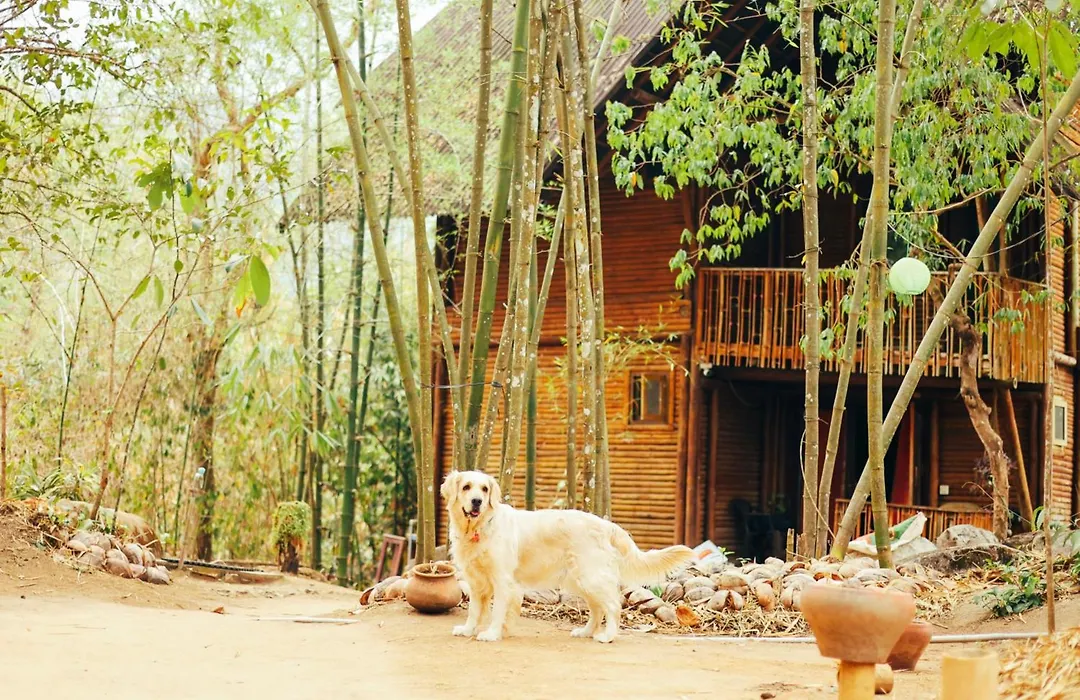 Uravu Bamboo Grove Resort-1