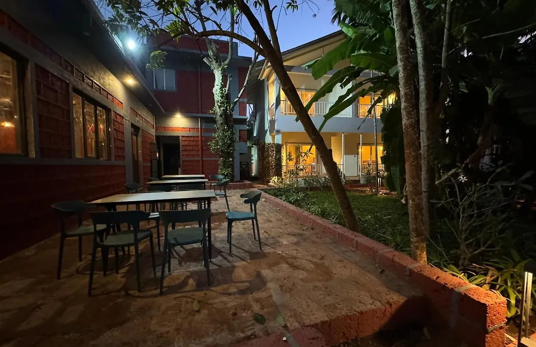 Vits Select Casuarina Diveagar-1