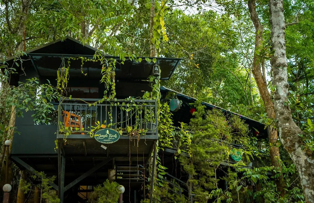 Ranches Jungle Beats Resorts-1