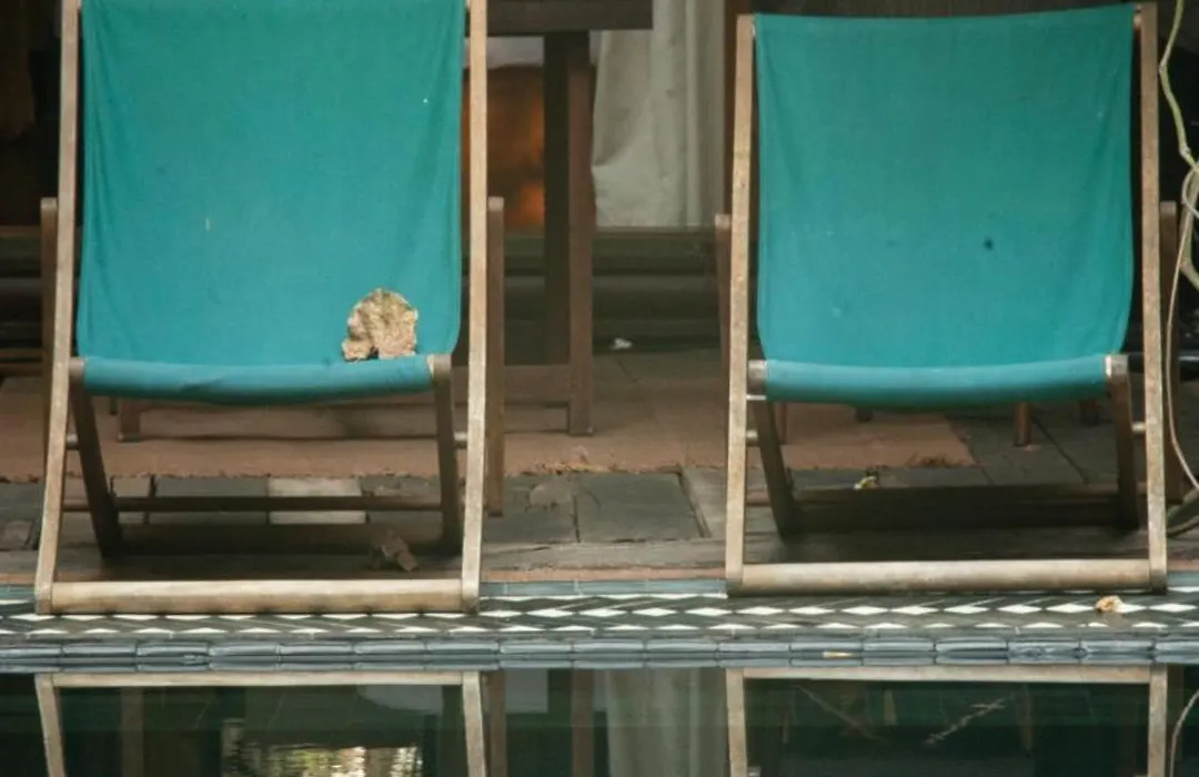 Chandra Residence-1