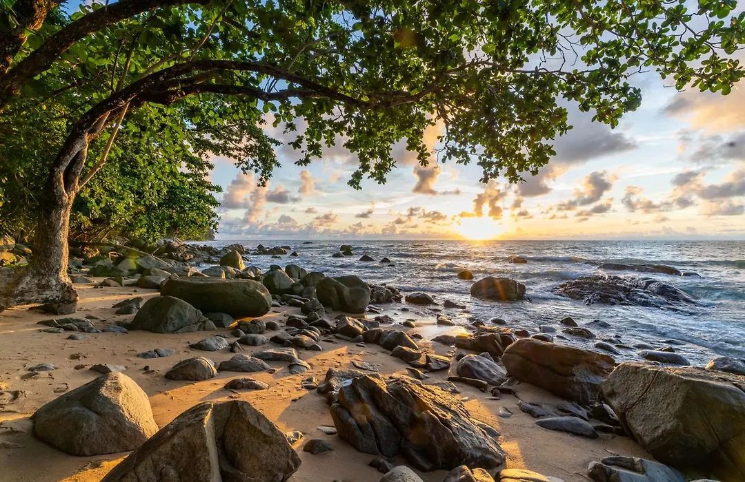 Baan Krating Khao Lak Resort - Sha Plus-1