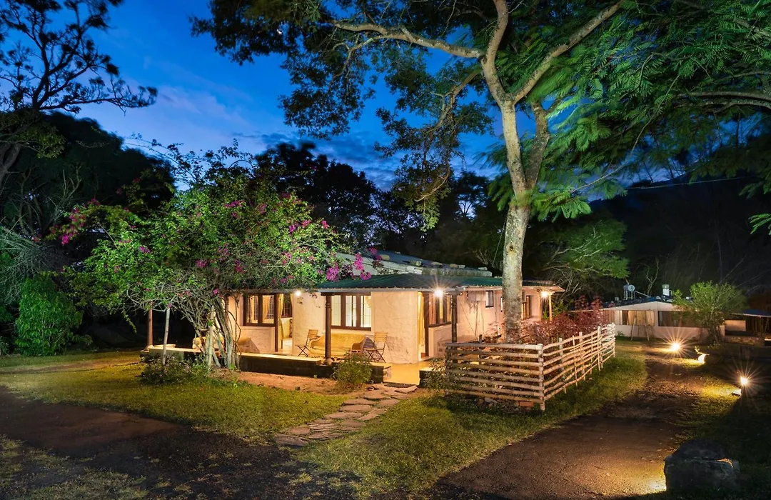 Jungle Hut Resort-1