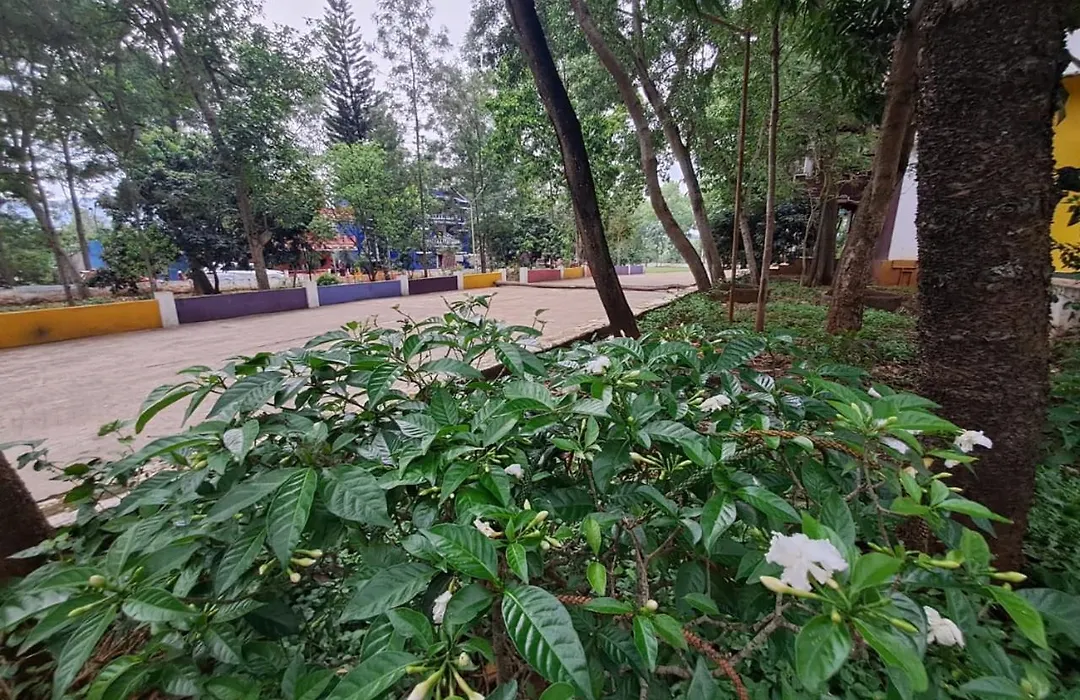 Ushodaya Resorts-1