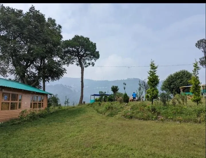 Golden Valley Cottages, Chail-1