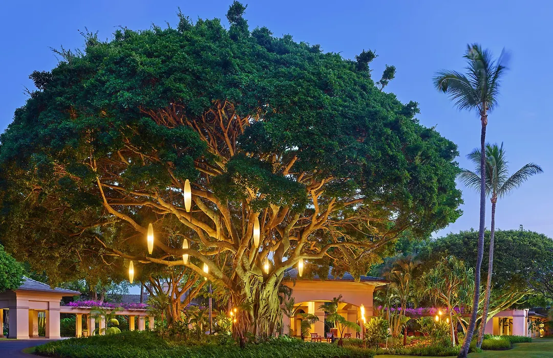 The Ritz-Carlton Maui, Kapalua-1