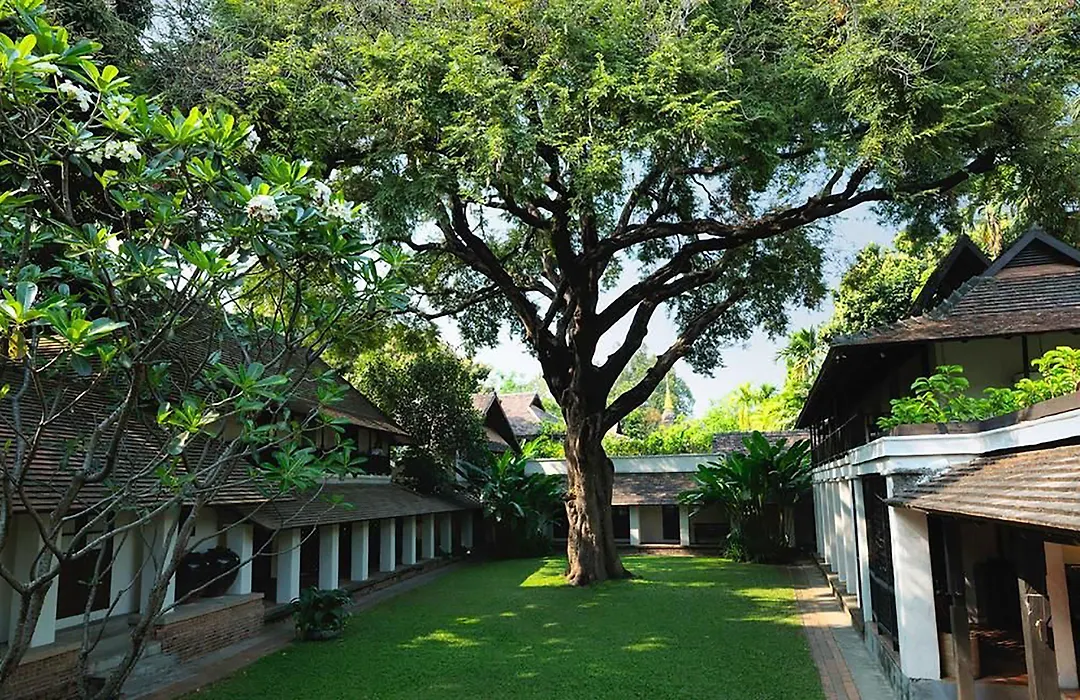 Tamarind Village-1