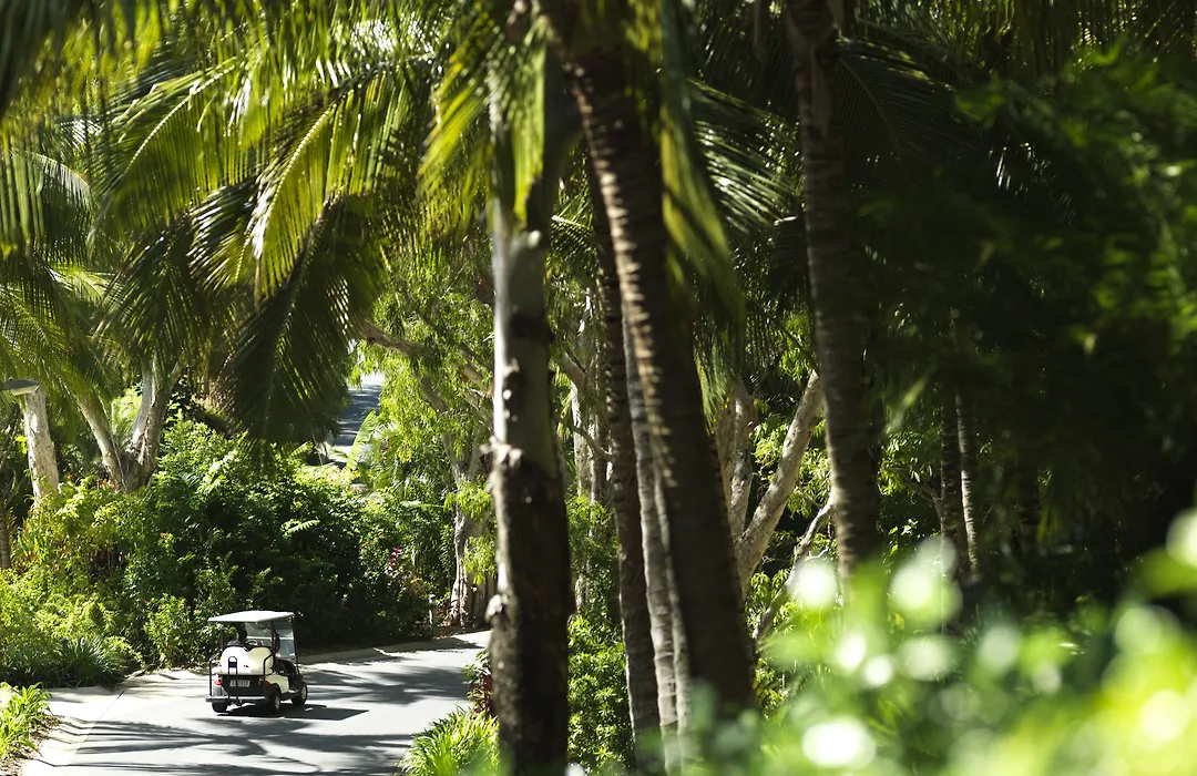 Palm Bungalows-1
