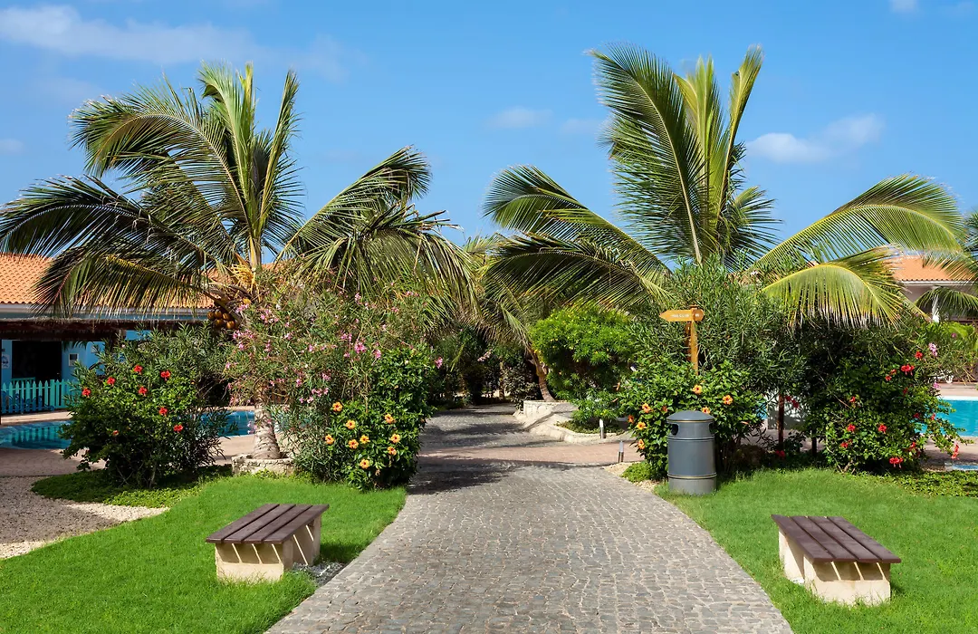 Melia Tortuga Beach-1
